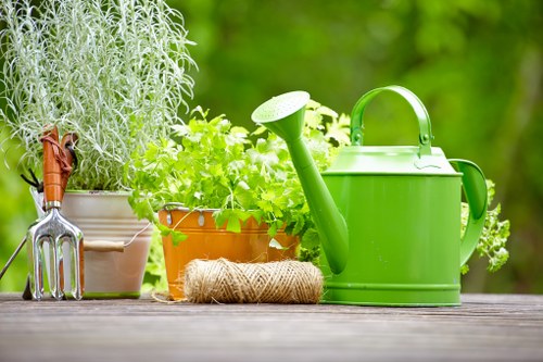 A gardening scene on a wooden outdoor surface featuring a bright green watering can with a curved handle and a long spout, positioned among potted plants and gardening tools. To the left, there is a small metal hand rake with a wooden handle, alongside two terracotta pots filled with green foliage, including a tall, silvery-leaved herb and a lush, leafy plant. In front of the watering can, a coiled jute twine is placed, suggesting garden maintenance activities. The background is out of focus, with vibrant green foliage and blurred trees, indicating an outdoor garden environment, likely in Haringey, London, with natural sunlight illuminating the scene. The arrangement emphasizes healthy plants and gardening tools, reflecting general gardening care suitable for lawn and plant maintenance services by Lawn Mowing Haringey and related outdoor landscaping tasks.