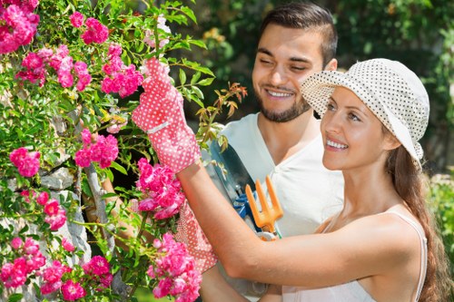 Professional lawn mowing service in Haringey