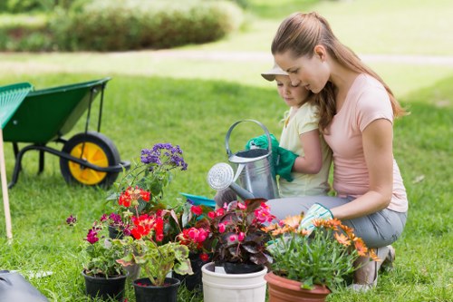 Healthy green lawn maintained by experts in Haringey