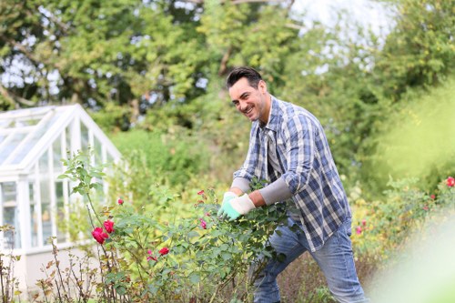 Eco-friendly lawn care practices in Haringey